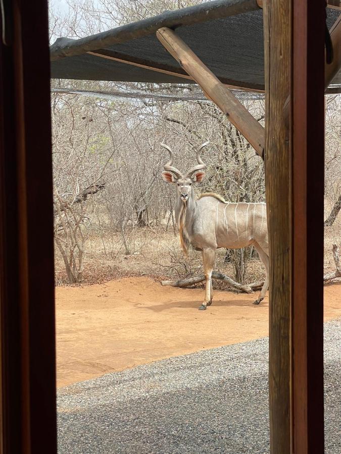 The Cheetah Rest Villa Hoedspruit Eksteriør bilde